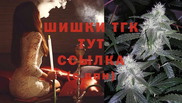 таблы Лабытнанги