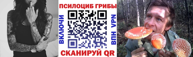 Купить  Лабинск  Псилоцибиновые грибы Magic Shrooms 